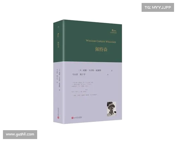 《探索佩特森的理论世界:从心理学到个人成长的深刻洞察》 《探索佩特森的理论世界:从心理学到个人成长的深刻洞察》